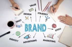 Branding and Network Effects in a Social Media Environment CS206